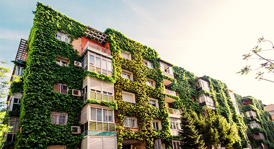 Imagem da fachada externa de um prédio, que possui suas paredes todas compostas de plantas, seguindo a tendência de urban jungle.