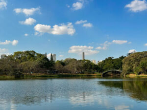 Parque Ibirapuera